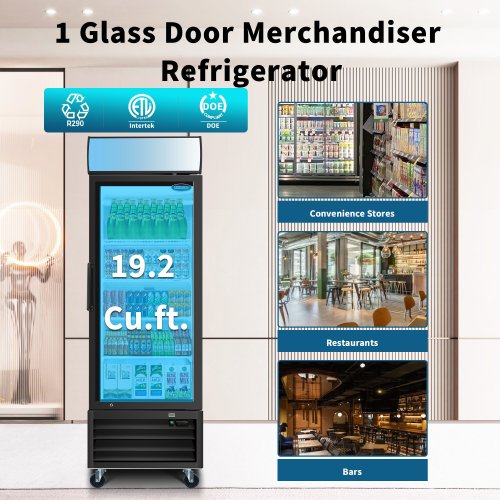 Glass Door Merchandiser Refrigerator 19.3 Cu.ft Swing Door Commercial Display Refrigerators Merchandising Refrigeration with LED Top Panel